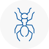 Ant Removals In Forest Hill