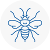 Forest Hill Hornet Nest Removals