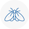 Moth Control Specialists In Forest Hill